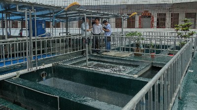 防染鹽廢水如何處理？